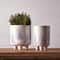 6" Modern Pine Tree Dolomite Planter with Legs, 2ct.
